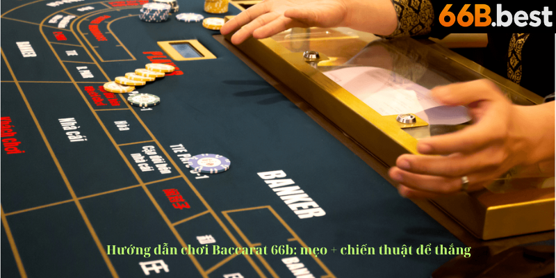 baccarat 66b tổng quát