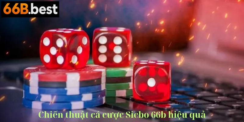 chiến thuật sicbo 66b com